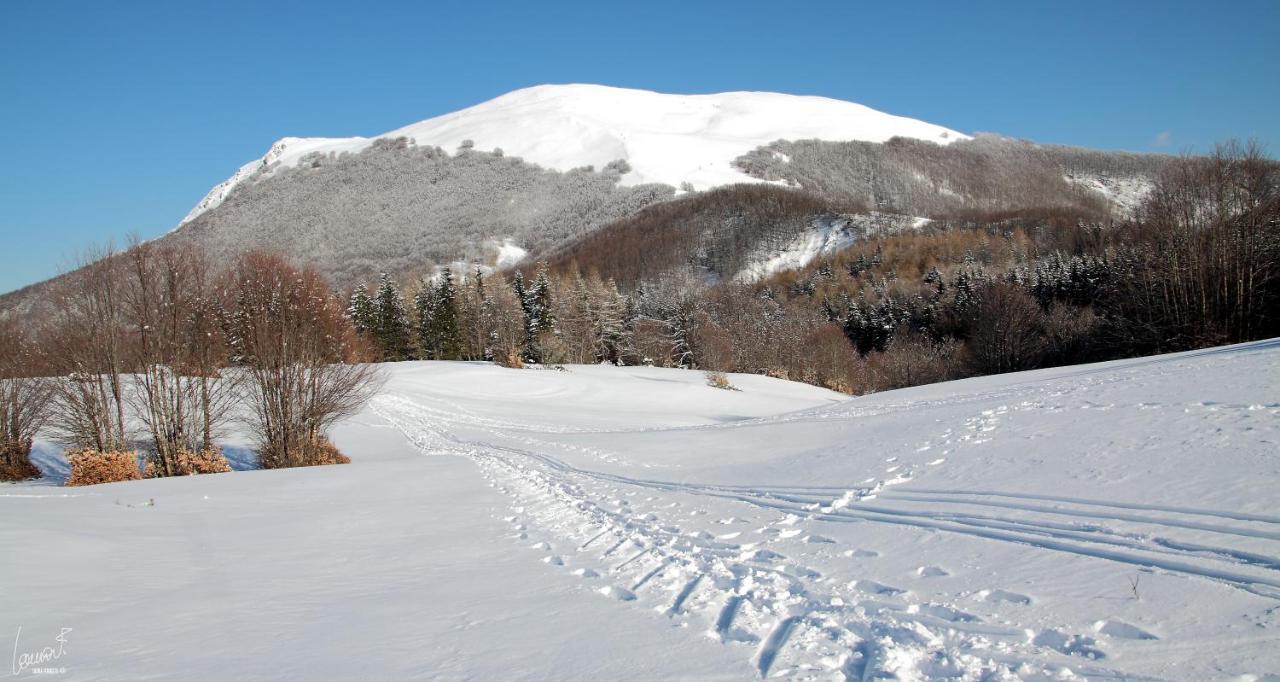 Antica Locanda Bonfiglio Busana Bagian luar foto