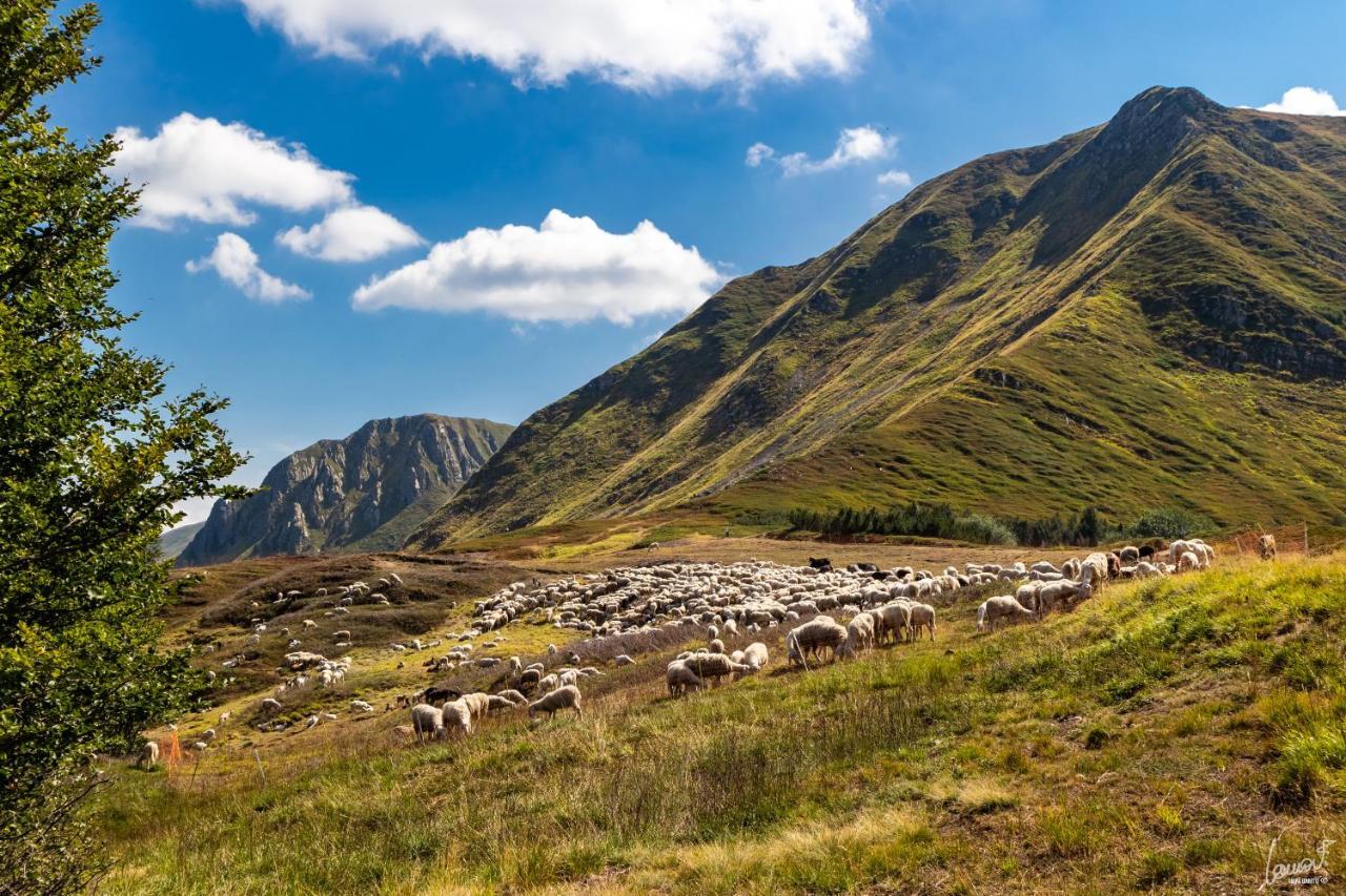Antica Locanda Bonfiglio Busana Bagian luar foto